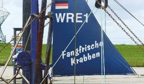 Einfach online verkaufen mit eigenem Onlineshop